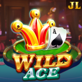 Wild Ace game artwork
